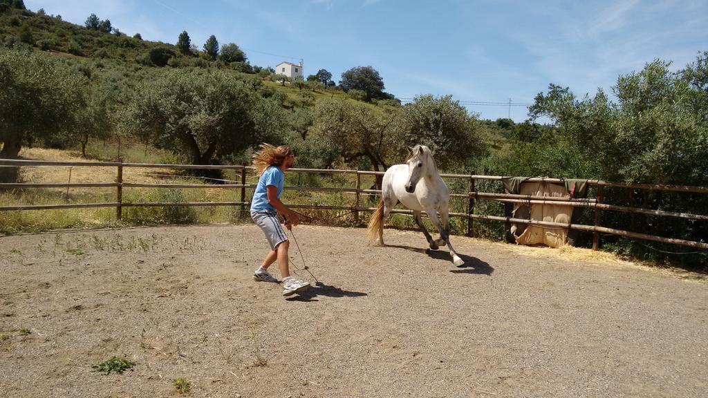 Finca La Piedra Holidays Alora Esterno foto