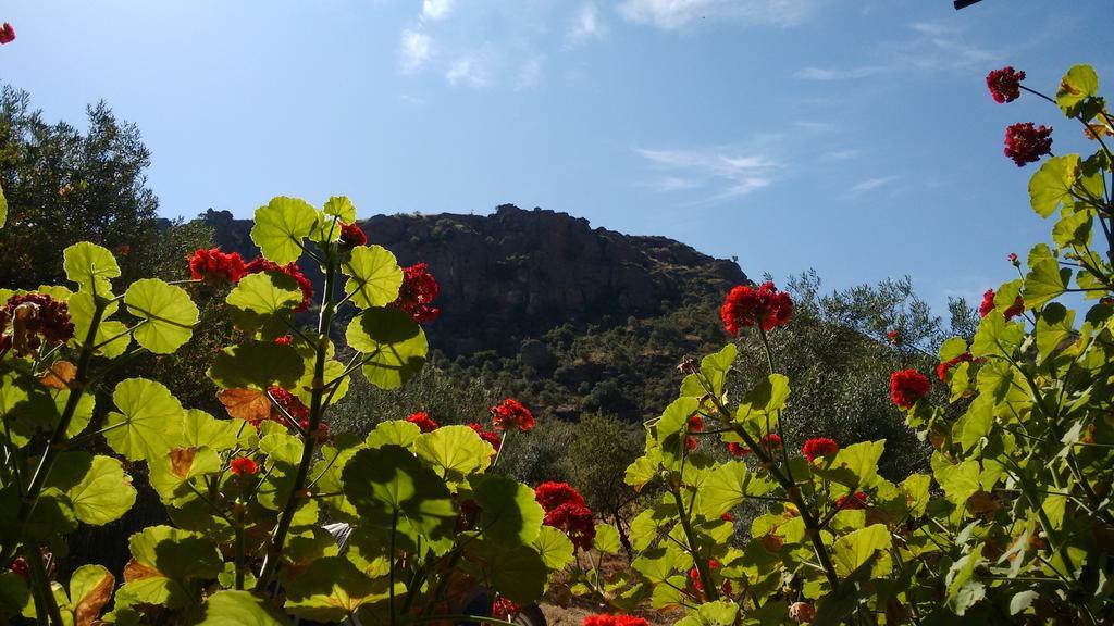 Finca La Piedra Holidays Alora Esterno foto